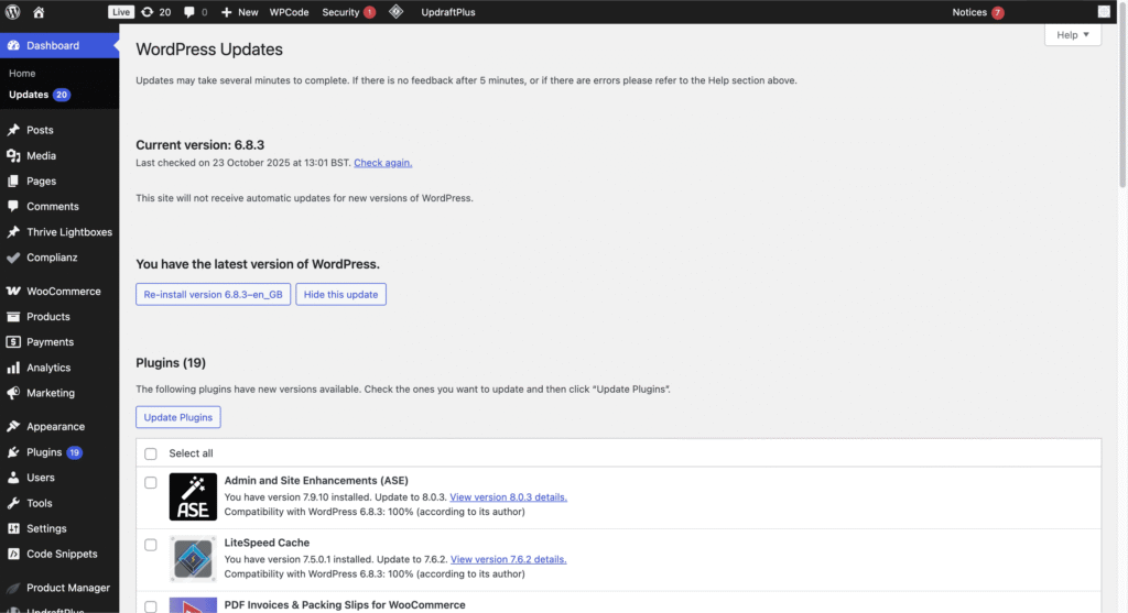 website maintenance services